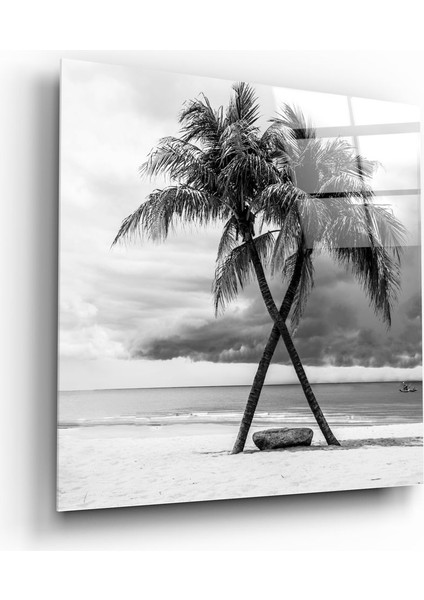Palmiye Ağaçları Cam Tablo - 60X60 cm