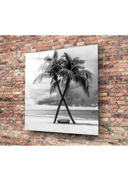 Palmiye Ağaçları Cam Tablo - 60X60 cm fiyatları