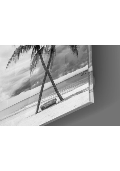 Palmiye Ağaçları Cam Tablo - 60X60 cm modelleri