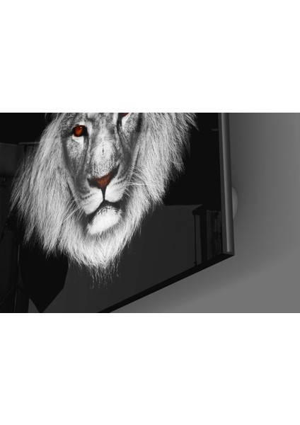 Aslan Cam Tablo - 60X60 cm modelleri