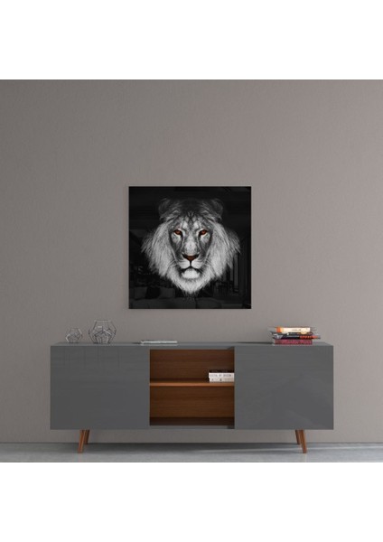 Aslan Cam Tablo - 60X60 cm fırsatları