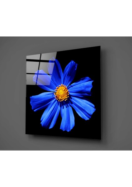 Mavi Çiçek Cam Tablo - 60X60 cm fiyatları