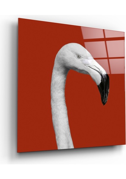 Flamingo Cam Tablo - 40X40 cm