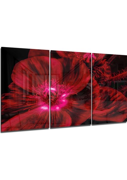 Kırmızı Çiçek Cam Tablo - 3 Adet 72X46 cm