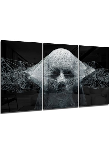 Sicim Cam Tablo - 3 Adet 72X46 cm