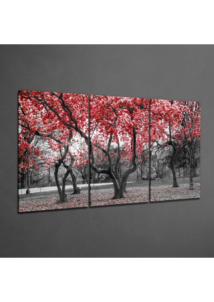 Ilkbahar Ağaçları Mega Cam Tablo - 3 Adet 72X46 cm fiyatları