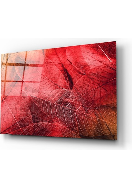 Makro Kırmızı Yaprak Cam Tablo - 72X46 cm