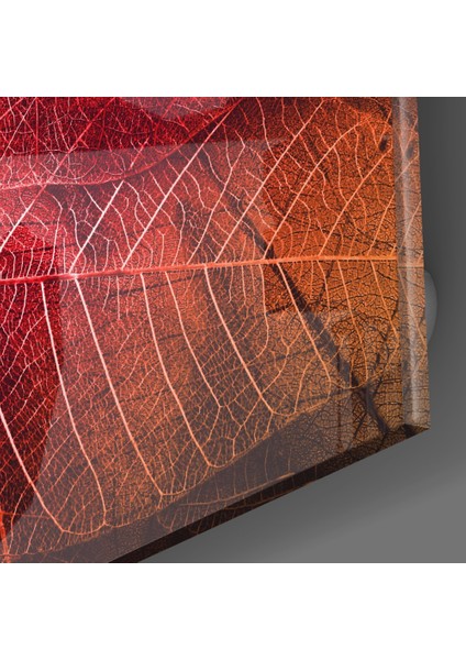 Makro Kırmızı Yaprak Cam Tablo - 72X46 cm modelleri