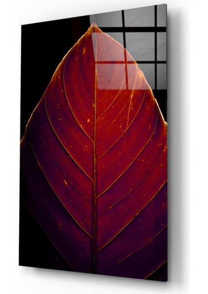 Kızıl Yaprak Cam Tablo - 72X46 cm