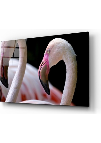 Flamingo Cam Tablo - 72X46 cm