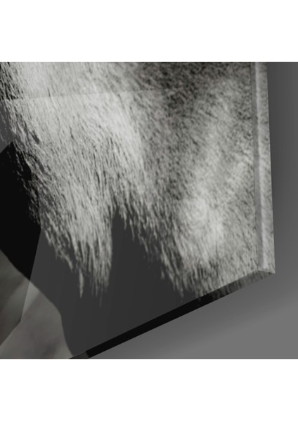 Geyik Cam Tablo - 72X46 cm