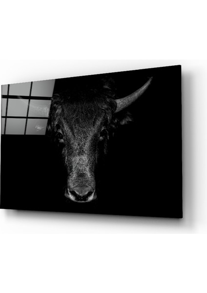 Bufalo Cam Tablo - 72X46 cm