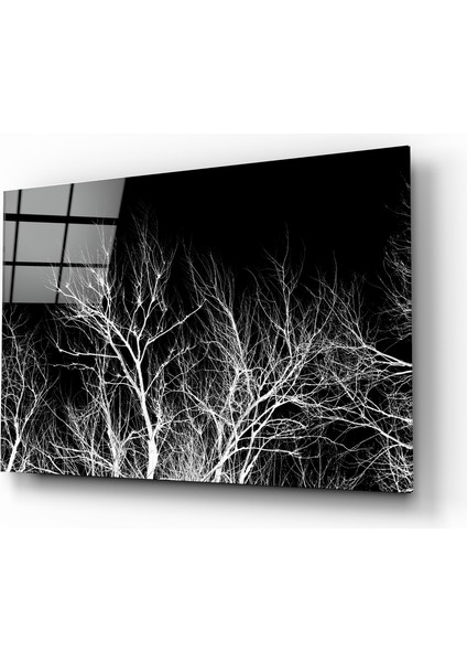 Ağacın Gecesi Cam Tablo - 72X46 cm