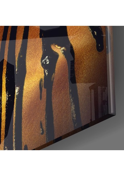 Leke Cam Tablo - 72X46 cm modelleri