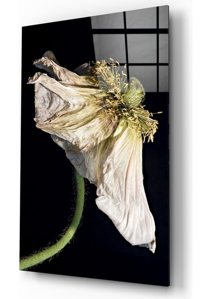 Çiçek Cam Tablo - 72X46 cm