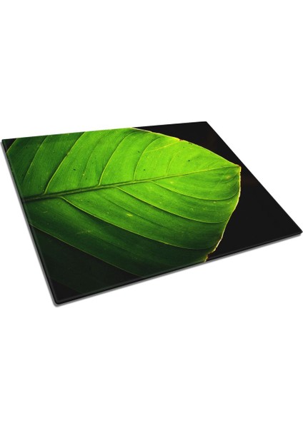 Yeşil Yaprak Uv Baskılı Cam Kesme Tablası 35X25 cm fiyatları