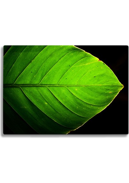 Yeşil Yaprak Uv Baskılı Cam Kesme Tablası 35X25 cm modelleri