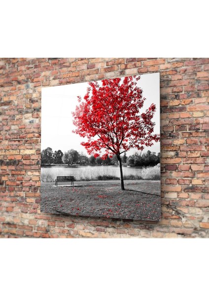 Kırmızı Ağaç Cam Tablo - 60X60 cm fiyatları