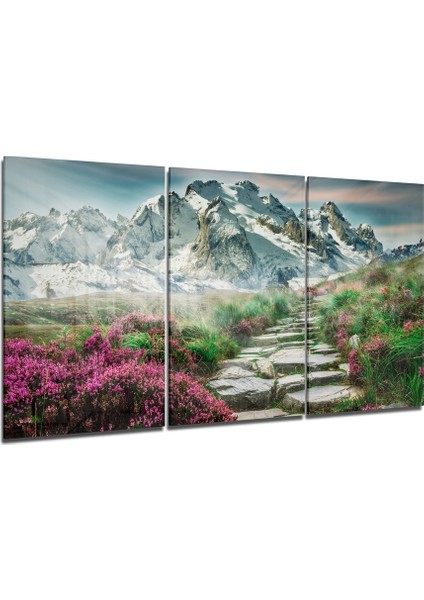 Patika Yol Mega Cam Tablo - 3 Adet 72X46 cm