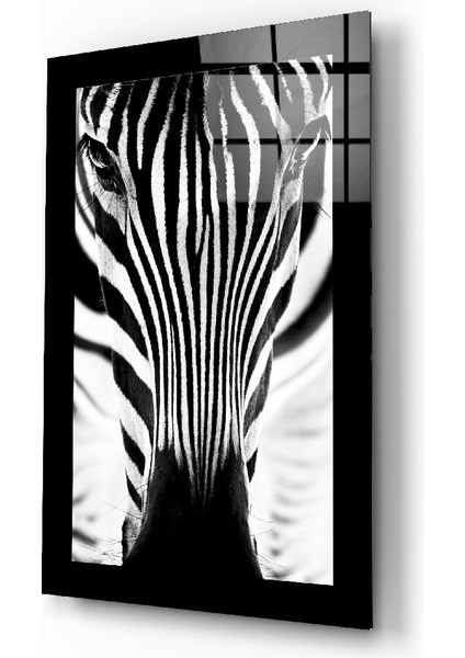 Zebra Cam Tablo - 72X46 cm