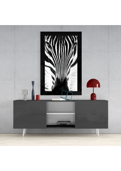 Zebra Cam Tablo - 72X46 cm fırsatları