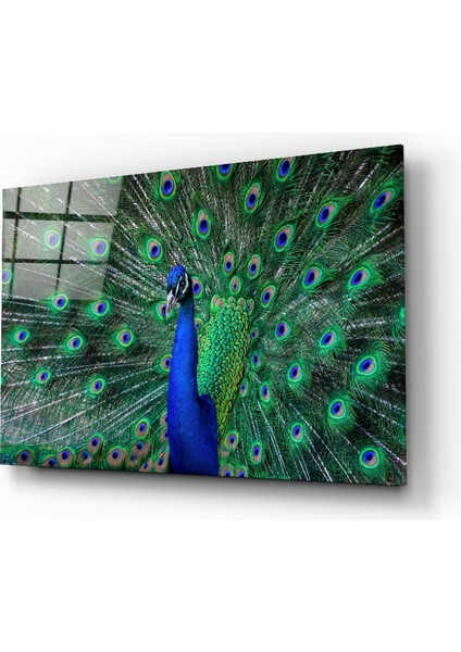 Tavuskuşu Cam Tablo - 110X70 cm