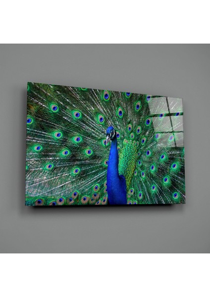 Tavuskuşu Cam Tablo - 110X70 cm