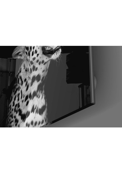 Leopar Cam Tablo - 60X60 cm