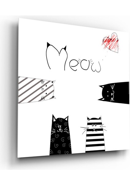 Miyav (Kedi) Cam Tablo - 60X60 cm