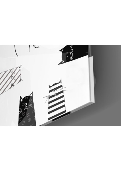Miyav (Kedi) Cam Tablo - 60X60 cm modelleri