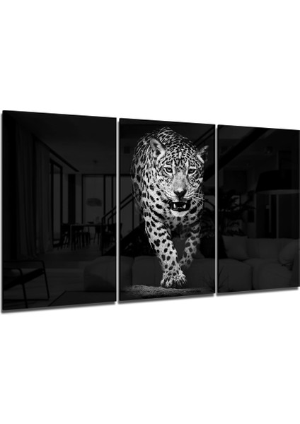 Karanlıktaki Leopar Mega Cam Tablo - 3 Adet 72X46 cm