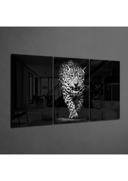 Karanlıktaki Leopar Mega Cam Tablo - 3 Adet 72X46 cm