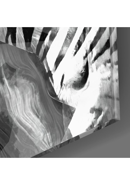 Zebra Cam Tablo - 40X40 cm modelleri