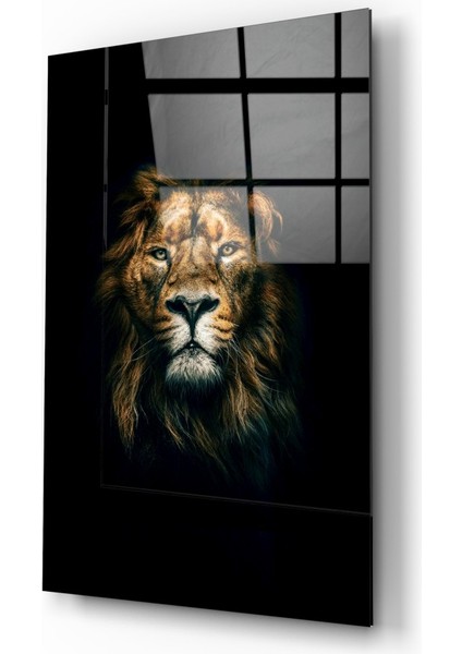Aslan Cam Tablo - 72X46 cm