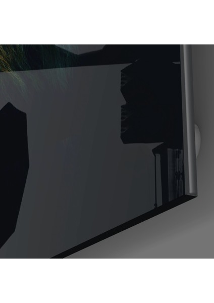Aslan Cam Tablo - 72X46 cm modelleri