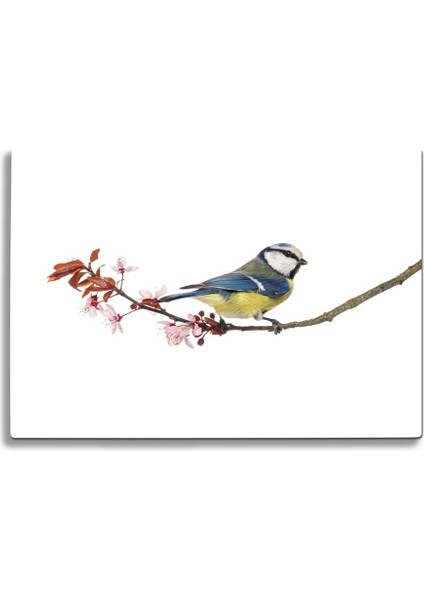 Daldaki Kuş Uv Baskılı Cam Kesme Tablası 35X25 cm fiyatları