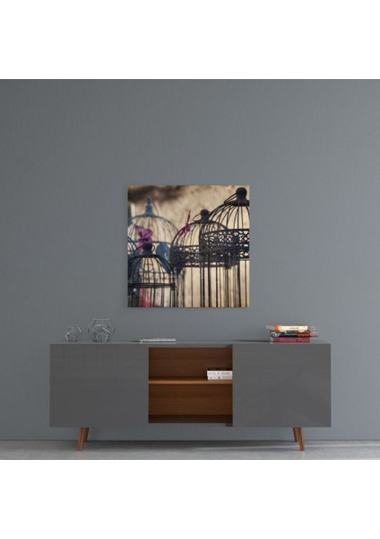 Kuş Kafesi Cam Tablo - 60X60 cm fırsatları