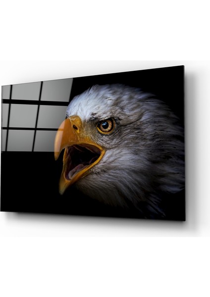 Kartal Cam Tablo - 72X46 cm