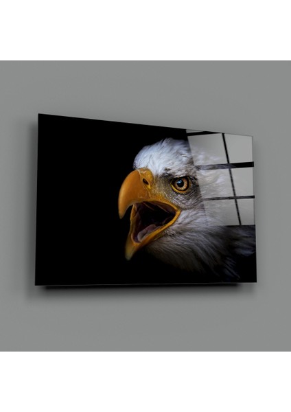 Kartal Cam Tablo - 72X46 cm fiyatları