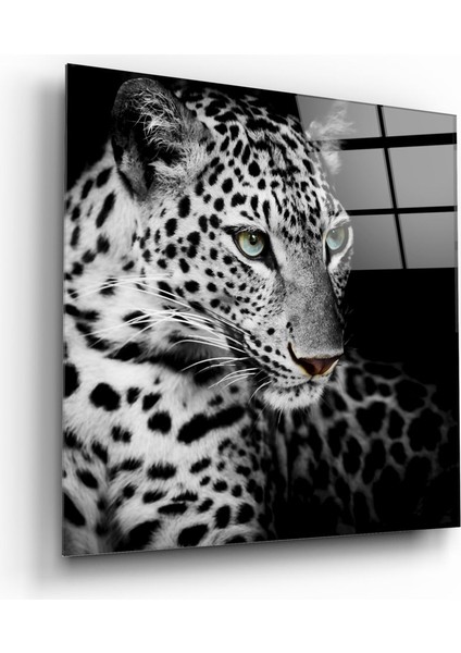 Leopar Cam Tablo - 60X60 cm