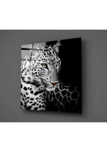 Leopar Cam Tablo - 60X60 cm fiyatları