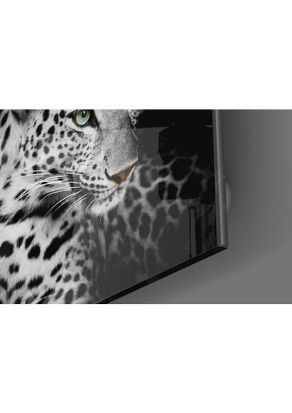 Leopar Cam Tablo - 60X60 cm modelleri