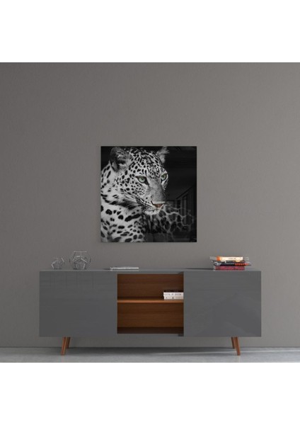 Leopar Cam Tablo - 60X60 cm fırsatları