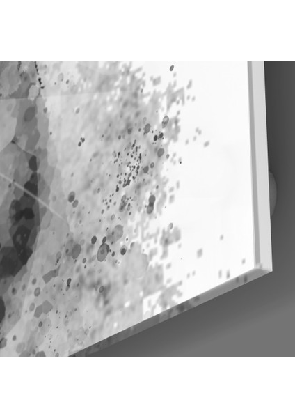 Kaplan Cam Tablo - 72X46 cm modelleri