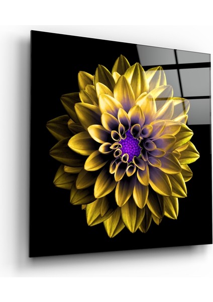 Sarı Çiçek Cam Tablo - 40X40 cm