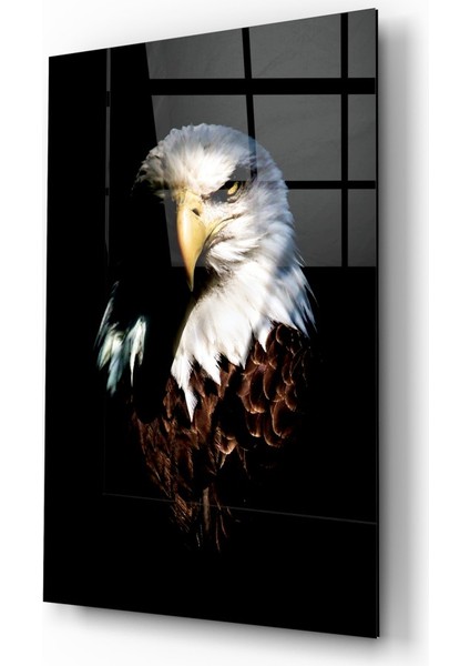 Kartal Cam Tablo - 72X46 cm