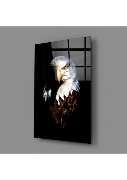 Kartal Cam Tablo - 72X46 cm