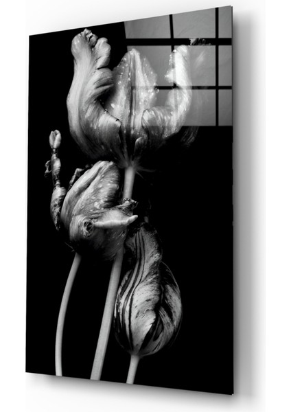 Siyah Beyaz Çiçekler Cam Tablo - 72X46 cm