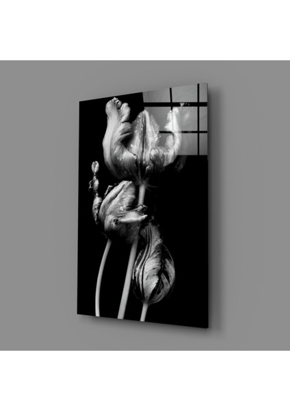 Siyah Beyaz Çiçekler Cam Tablo - 72X46 cm