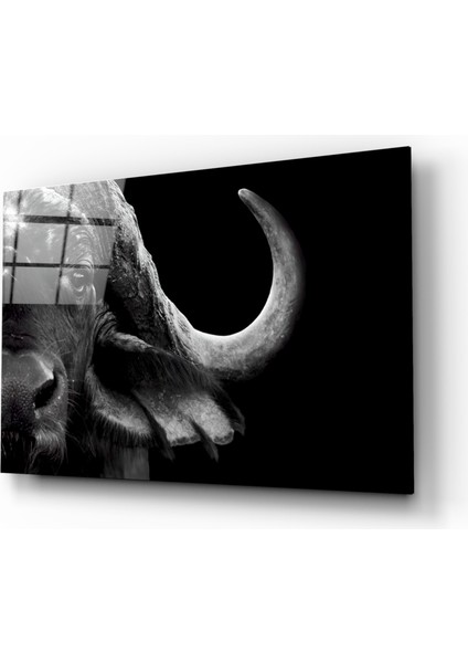 Bizon Cam Tablo - 72X46 cm